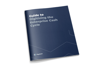 ebook--digitizing-the-enterprise-cash-cycle