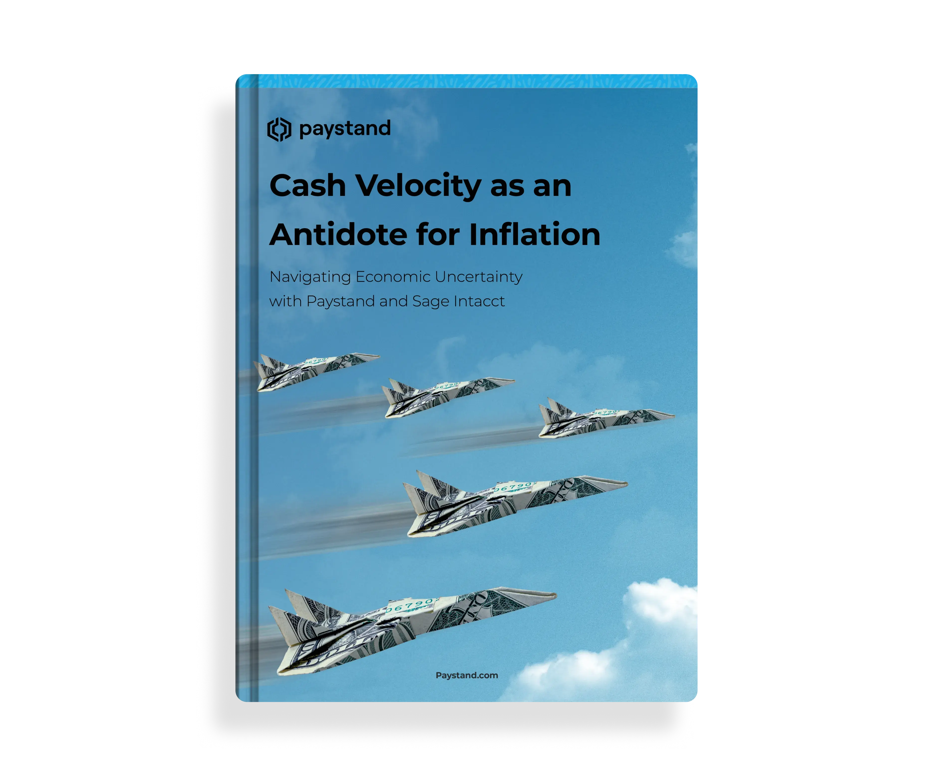 Book Mockup - Cash Velocity as an antidote for inflation