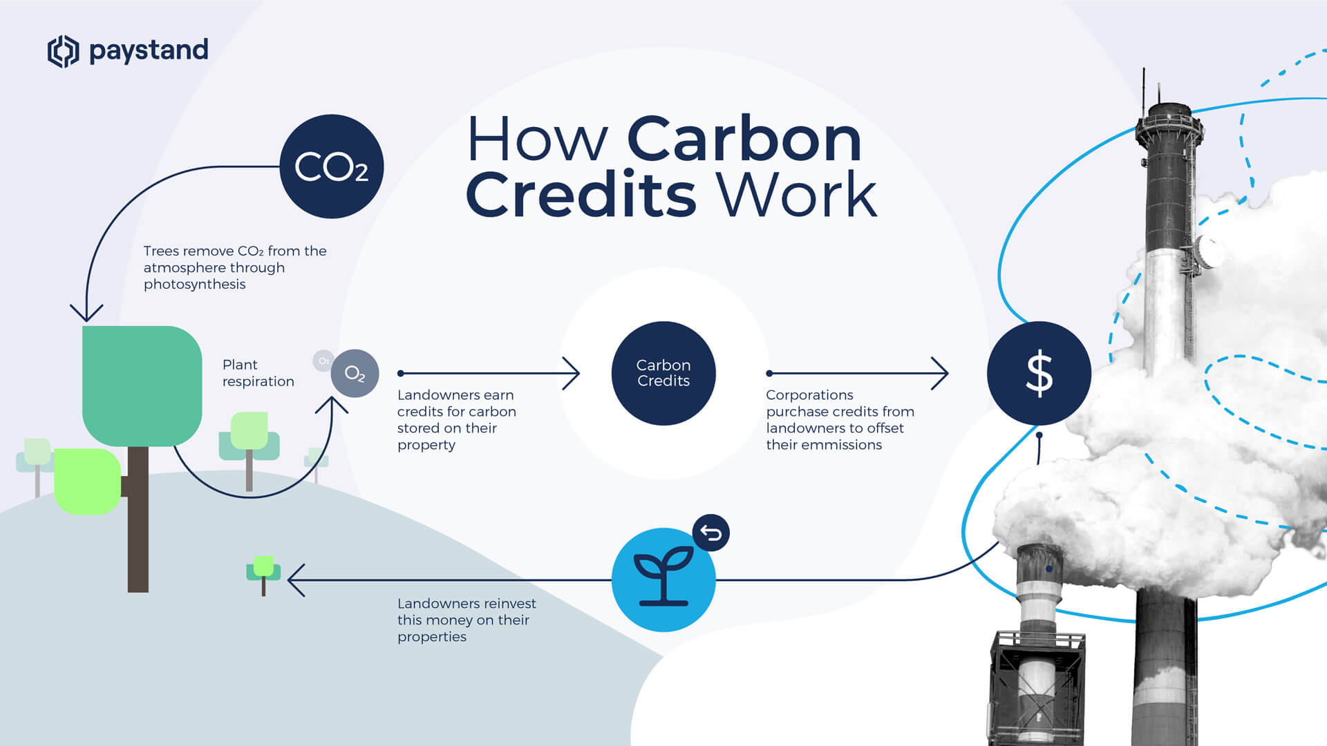 CARBON-CREDITS-INFOGRAPHIC-02 (1)