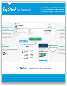netsuite_overview_paystand.png