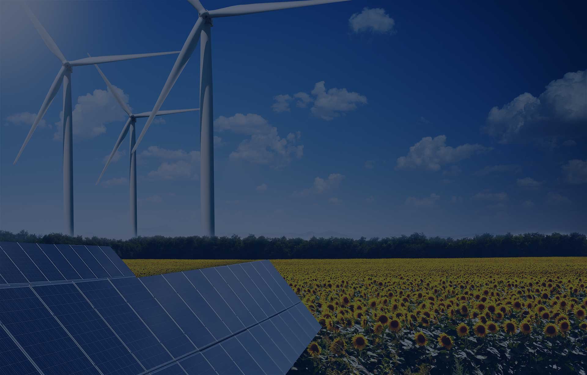 Thanks for Registering!