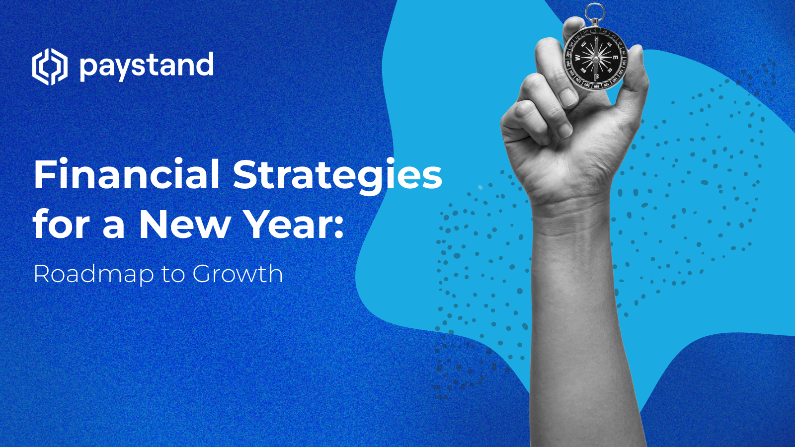 Financial Strategies for a New Year: Roadmap to Growth