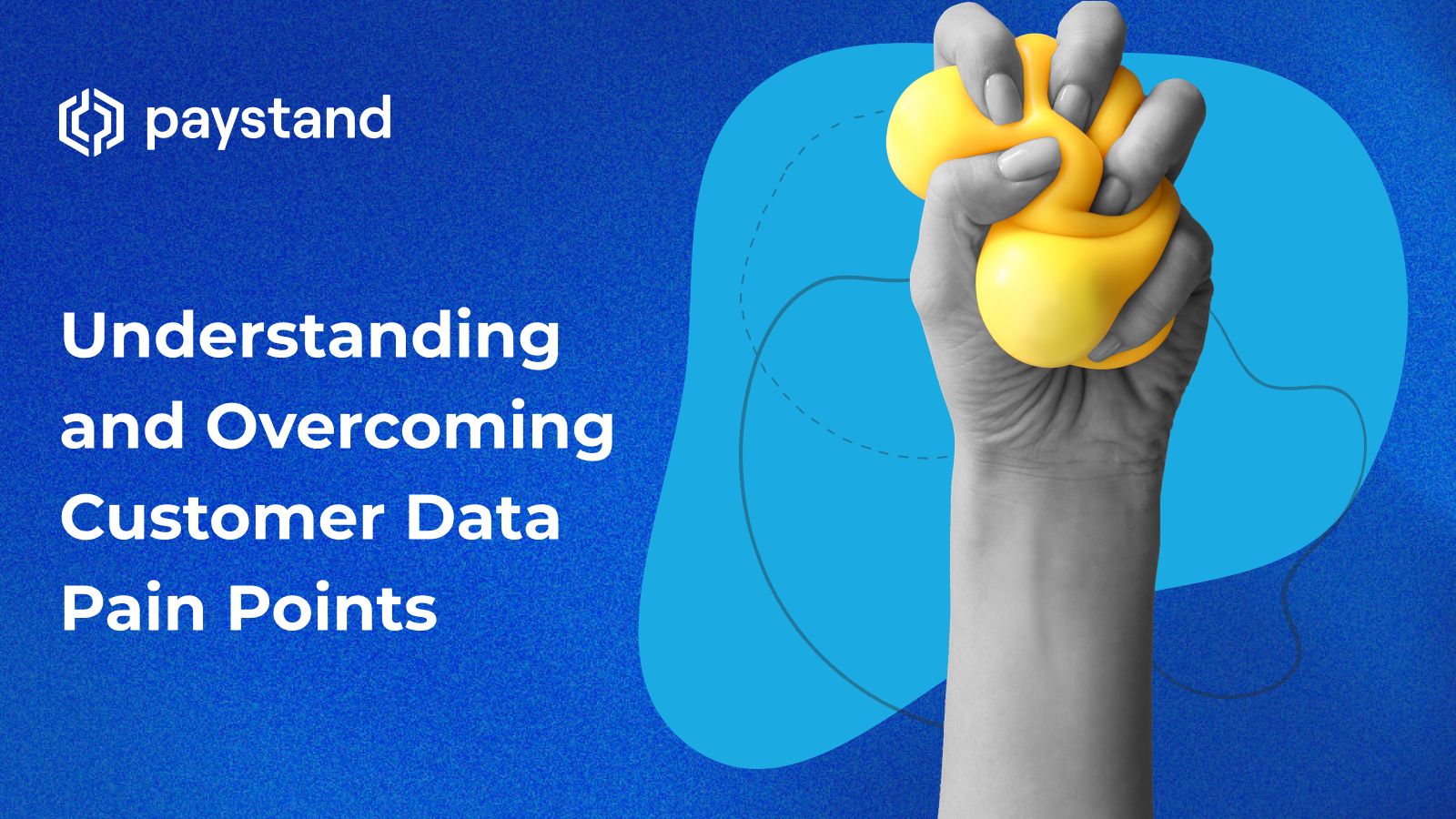 Understanding and Overcoming Customer Data Pain Points