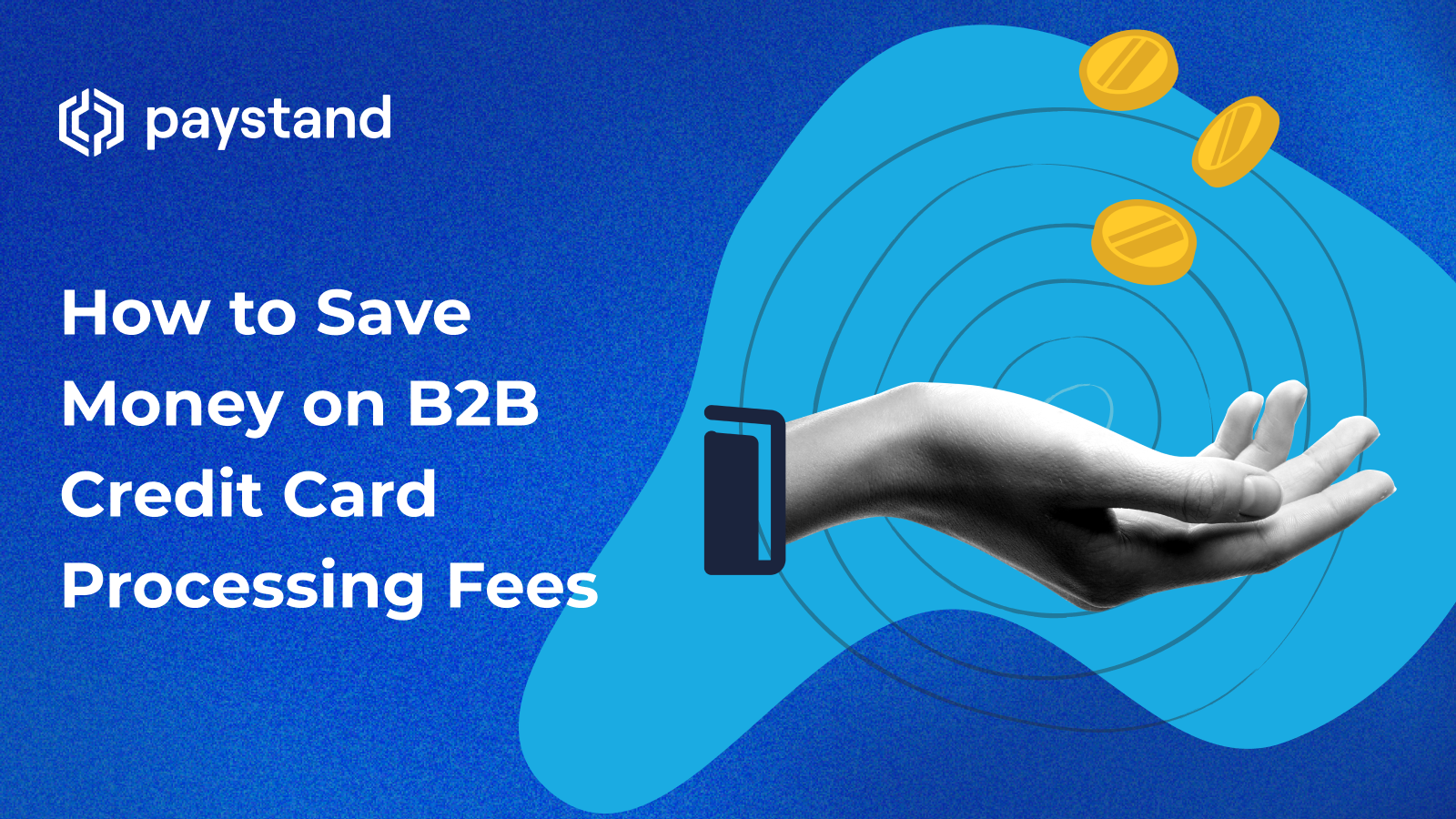 How to Save Money on B2B Credit Card Processing Fees