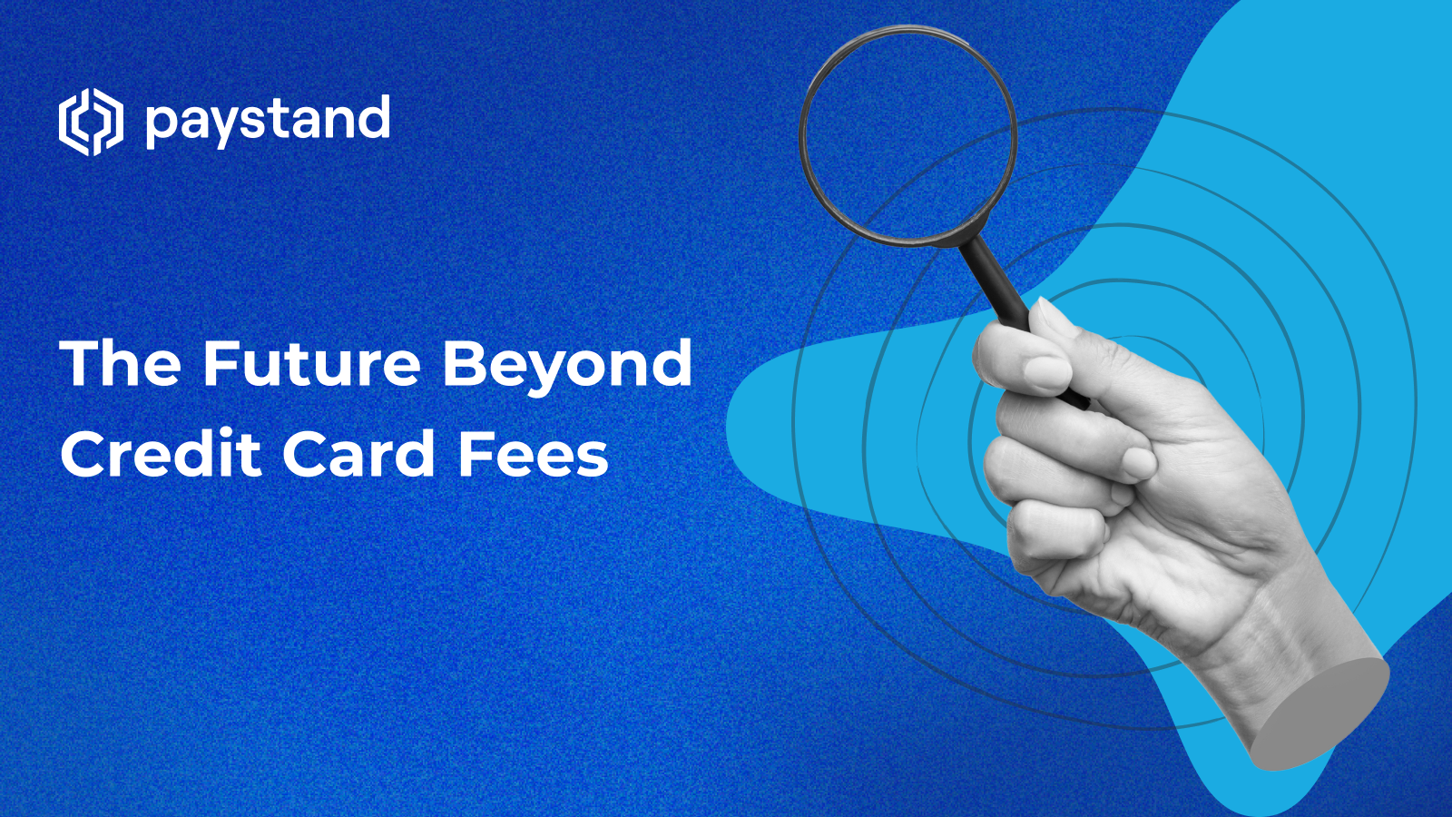 The Future Beyond Credit Card Fees