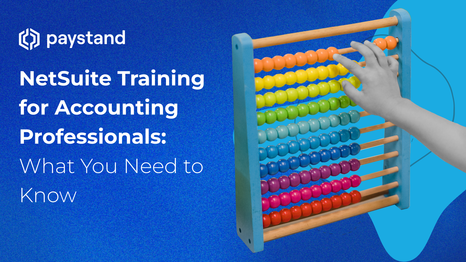 NetSuite Training for Accounting Professionals: What You Need to Know