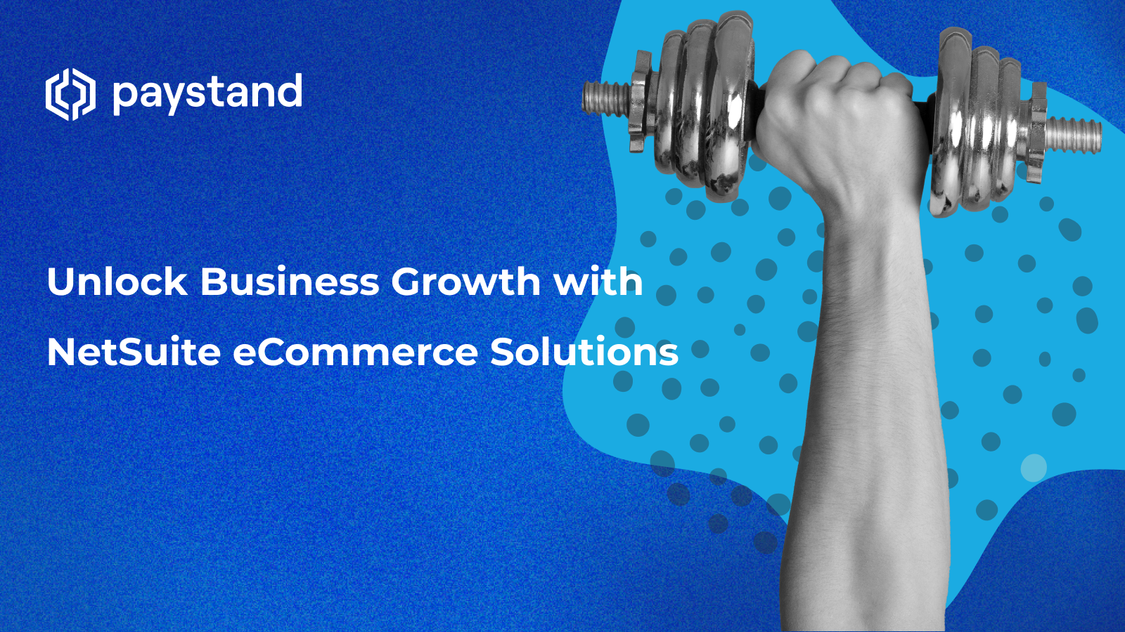 Unlock Business Growth with NetSuite eCommerce Solutions