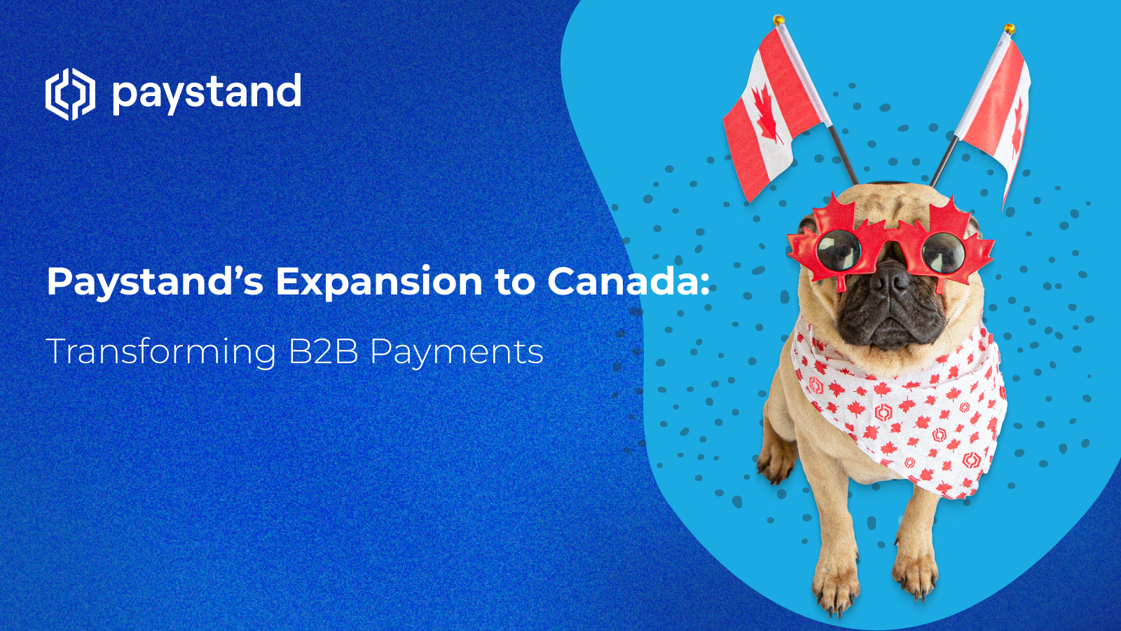 Paystand’s Expansion to Canada: Transforming B2B Payments