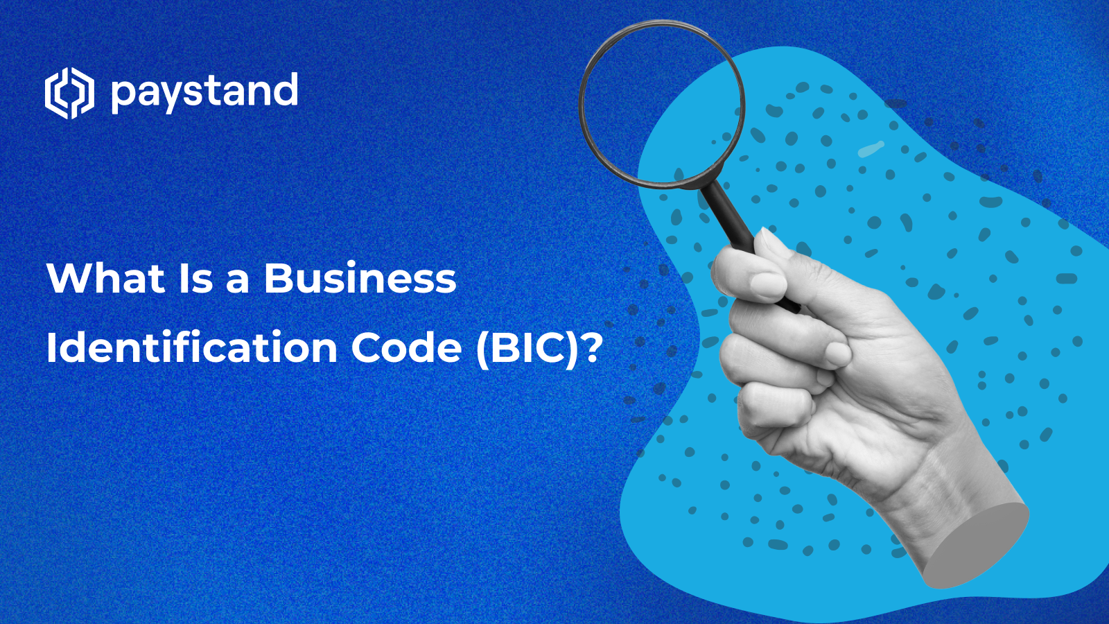 What Is a Business Identification Code (BIC)?