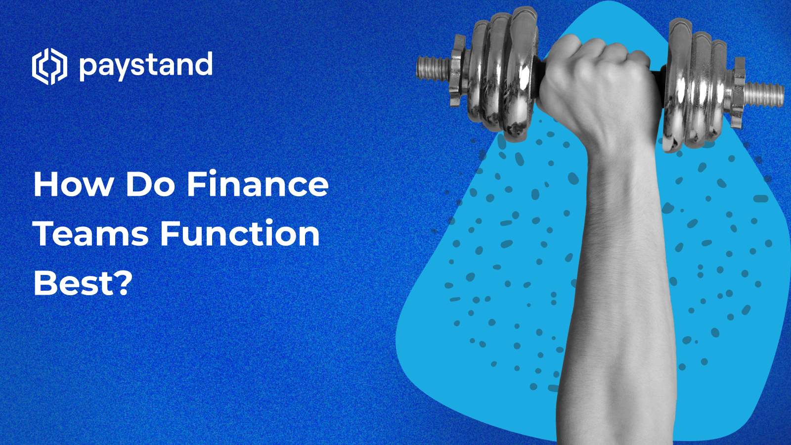 How Do Finance Teams Function Best?