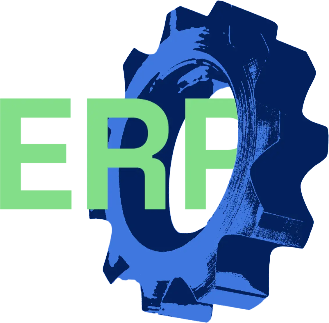 ERP-embedded Payments