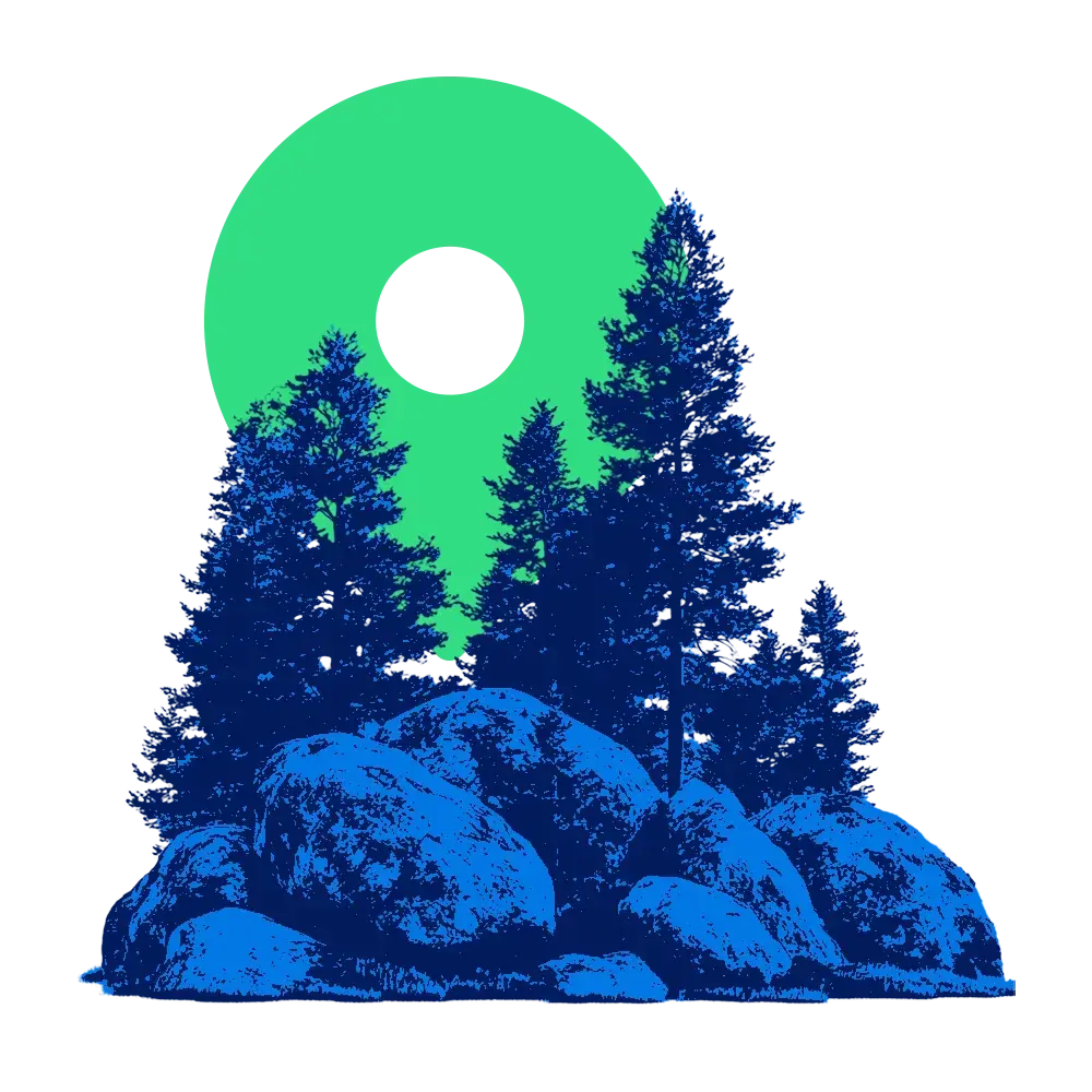 Minnesota forest